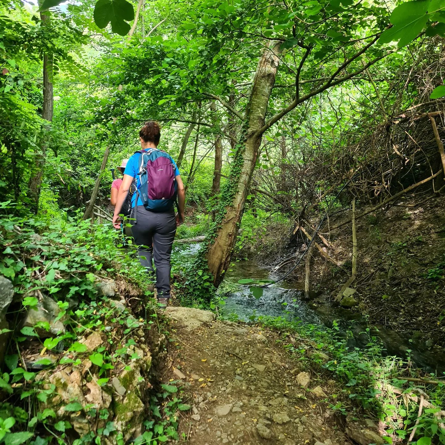 SANGINETO - CASCATA DEL VUGLIO, BORGO E SAPORI DEL TERRITORIO