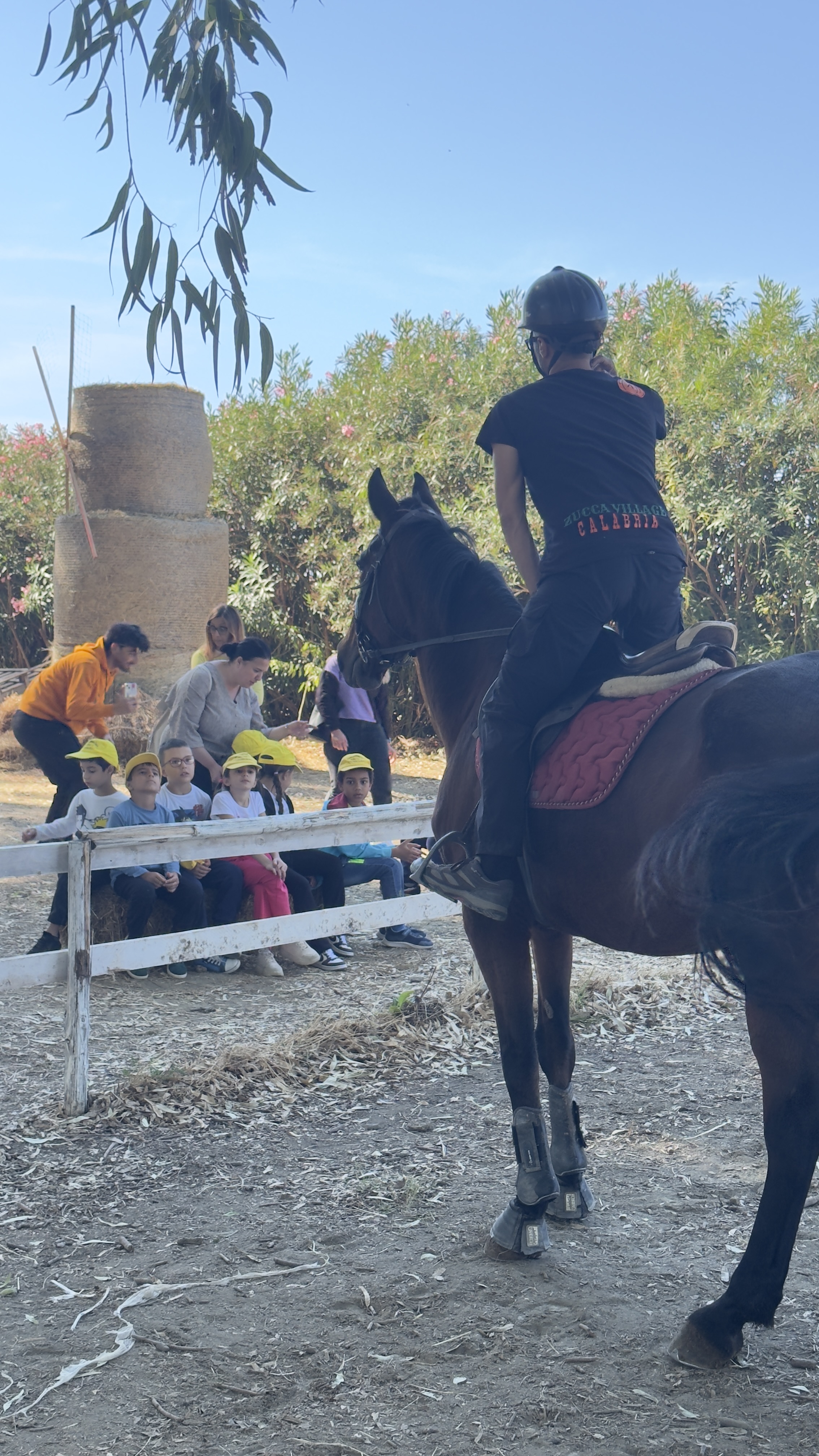 ZUCCA VILLAGE SCUOLE: AUTOBUS + TICKET INGRESSO