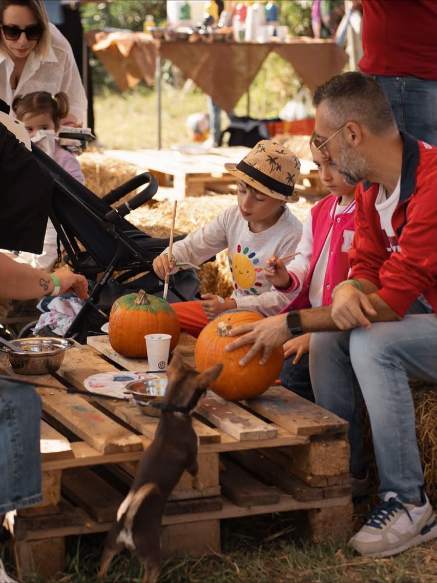 ZUCCA VILLAGE FAMILY