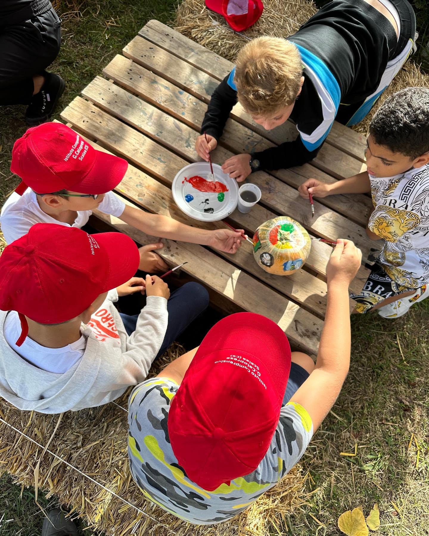 ZUCCA VILLAGE SCUOLE: AUTOBUS + TICKET INGRESSO