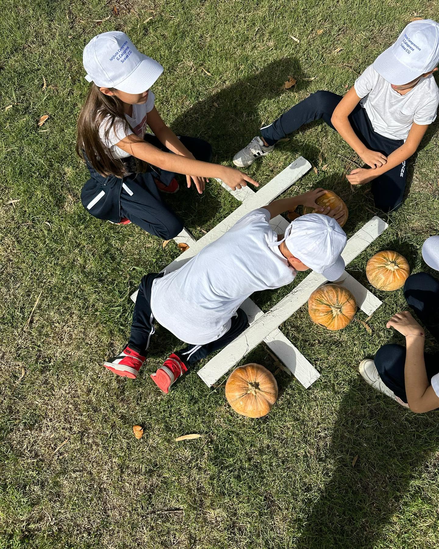 ZUCCA VILLAGE SCUOLE: AUTOBUS + TICKET INGRESSO